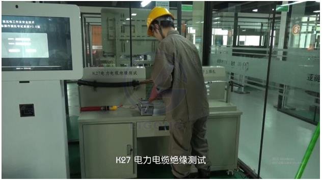 LG-TDG03高壓電工作業實操實訓設備